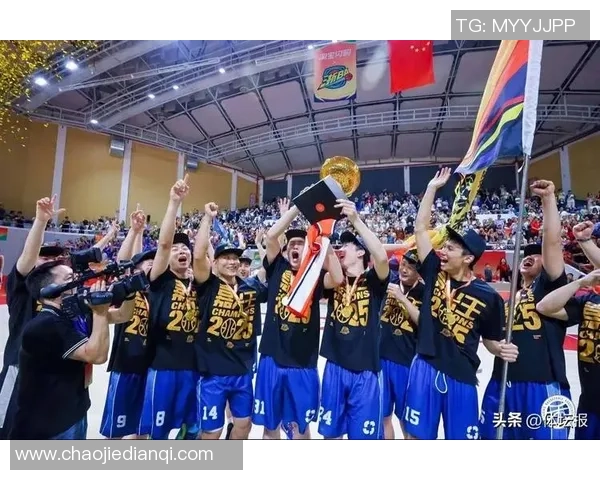 专访张磊：深入探讨篮球领域成功的秘诀与经验分享